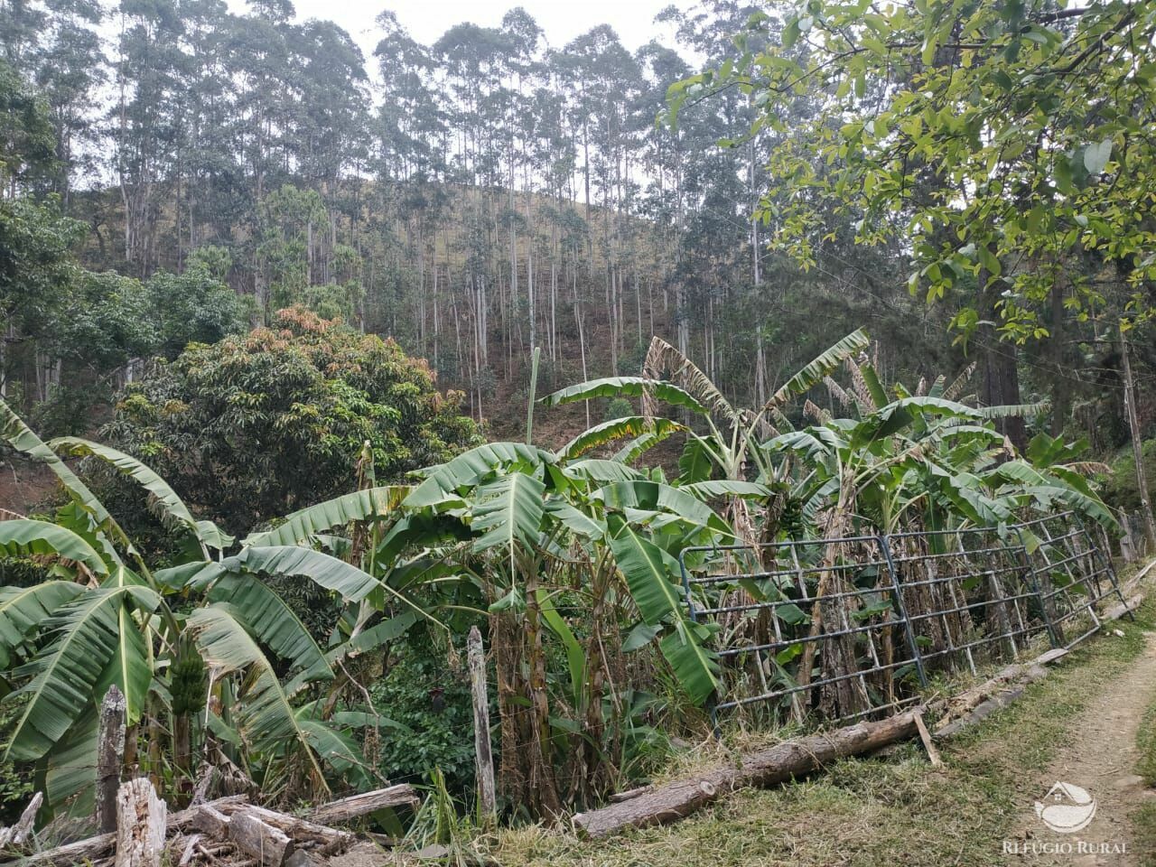 Sítio de 26 ha em Monteiro Lobato, SP