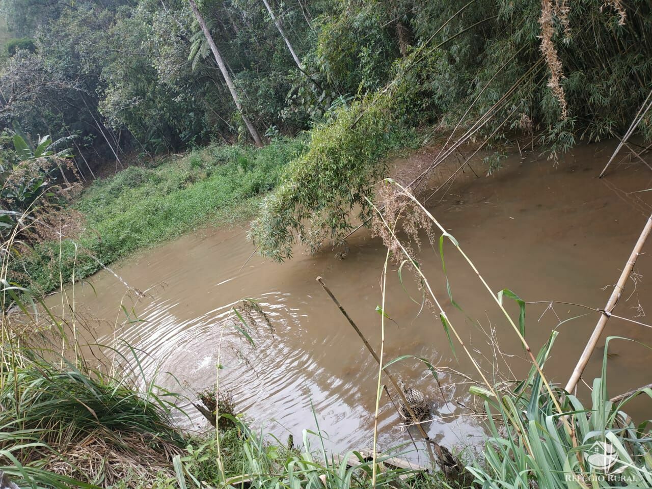 Sítio de 26 ha em Monteiro Lobato, SP