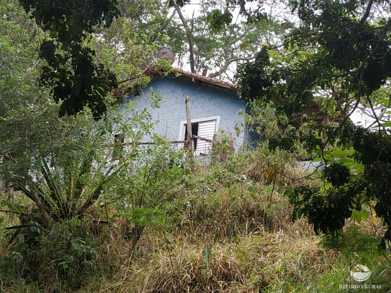 Sítio de 26 ha em Monteiro Lobato, SP