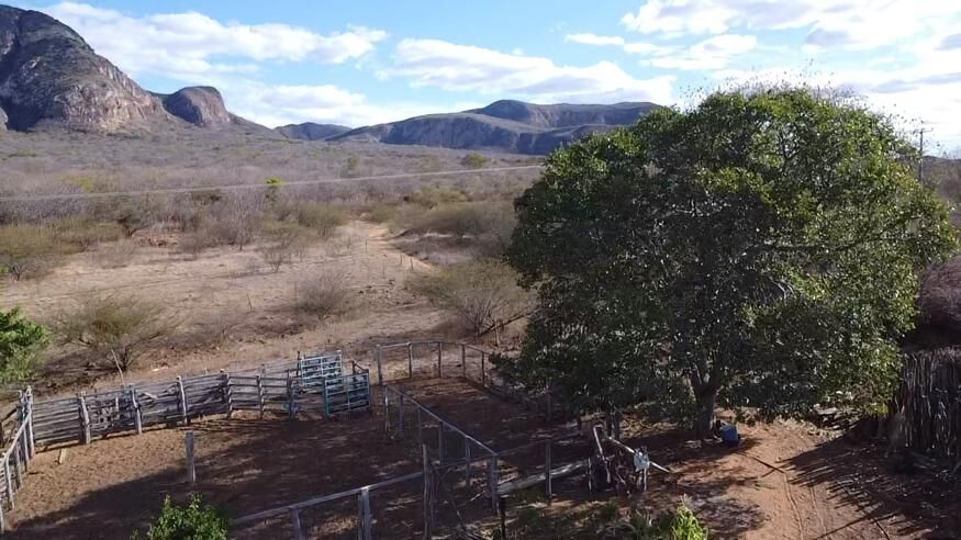 Fazenda de 580 ha em Oliveira dos Brejinhos, BA