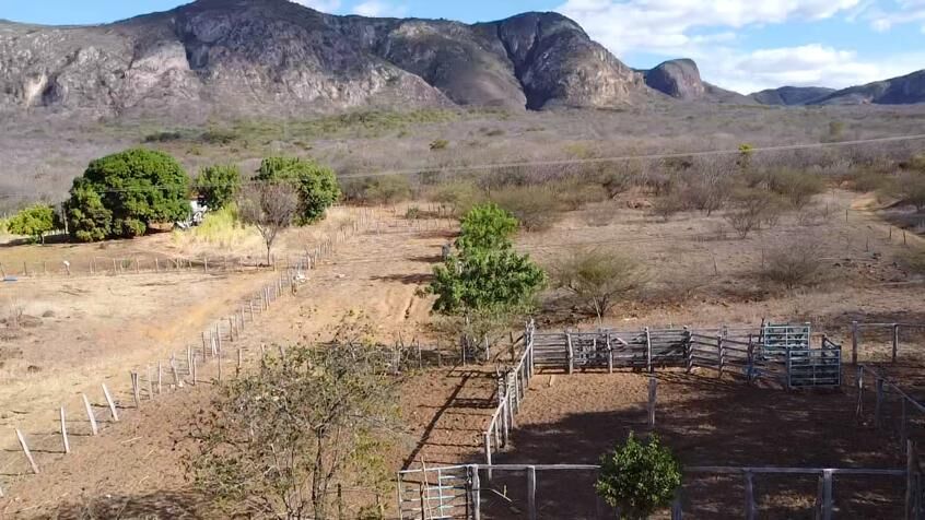 Fazenda de 580 ha em Oliveira dos Brejinhos, BA