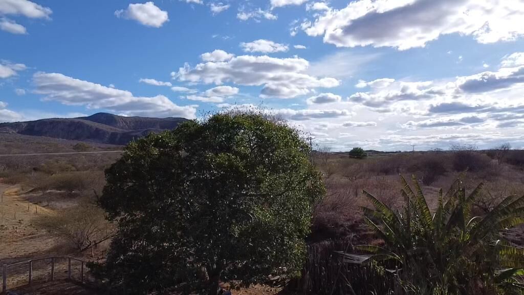 Fazenda de 580 ha em Oliveira dos Brejinhos, BA