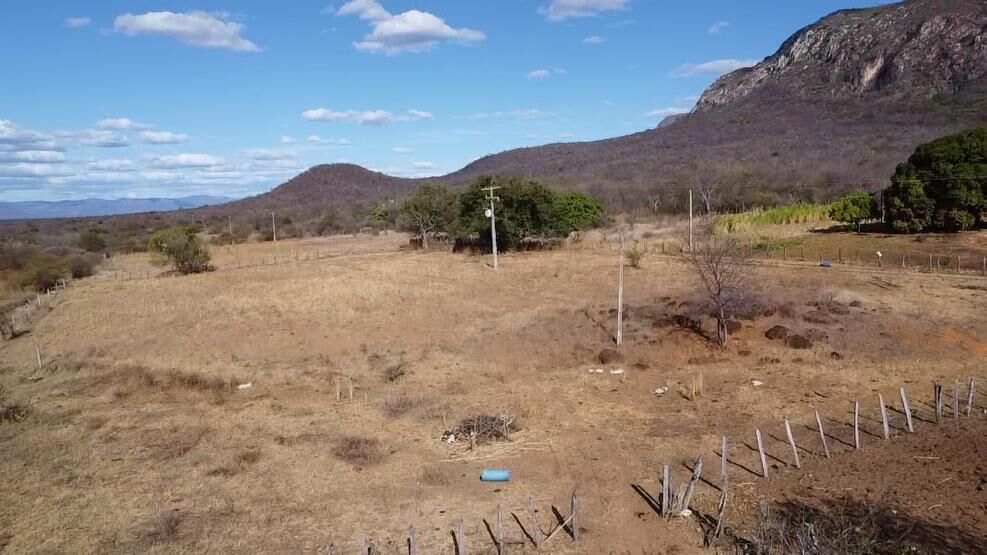 Fazenda de 580 ha em Oliveira dos Brejinhos, BA