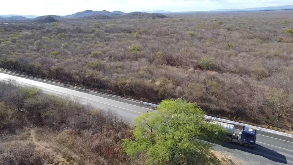 Fazenda de 580 ha em Oliveira dos Brejinhos, BA