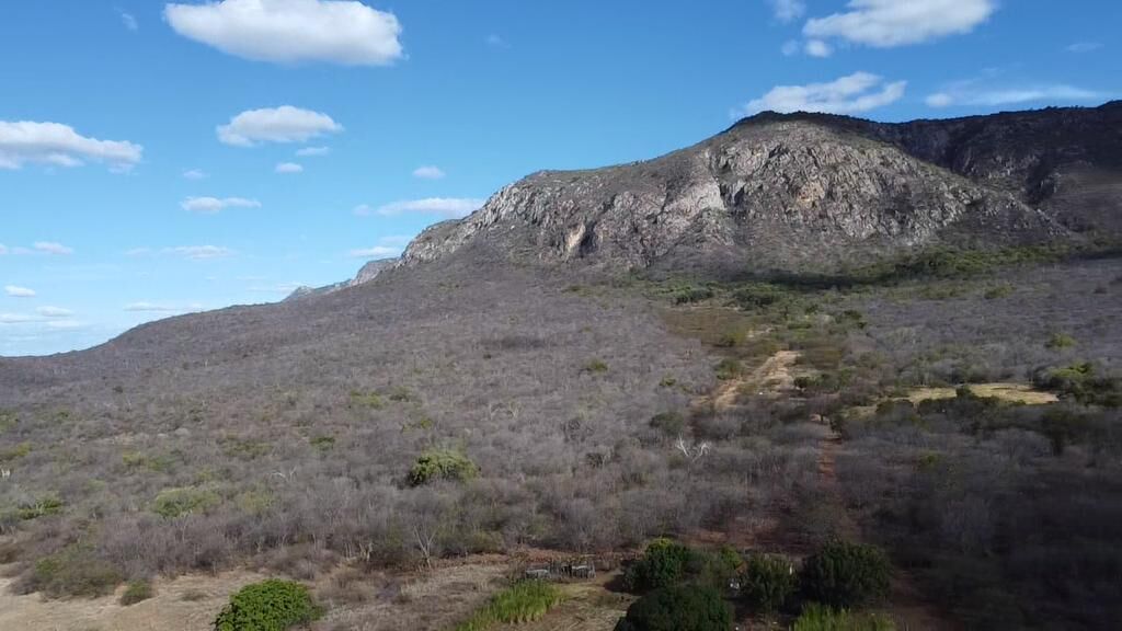 Fazenda de 580 ha em Oliveira dos Brejinhos, BA