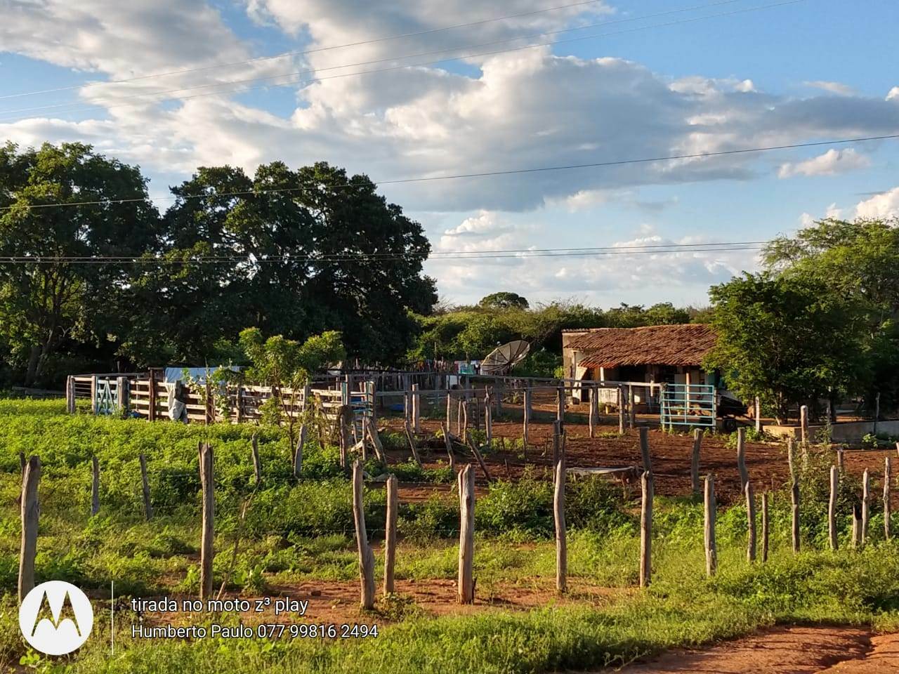 Fazenda de 580 ha em Oliveira dos Brejinhos, BA