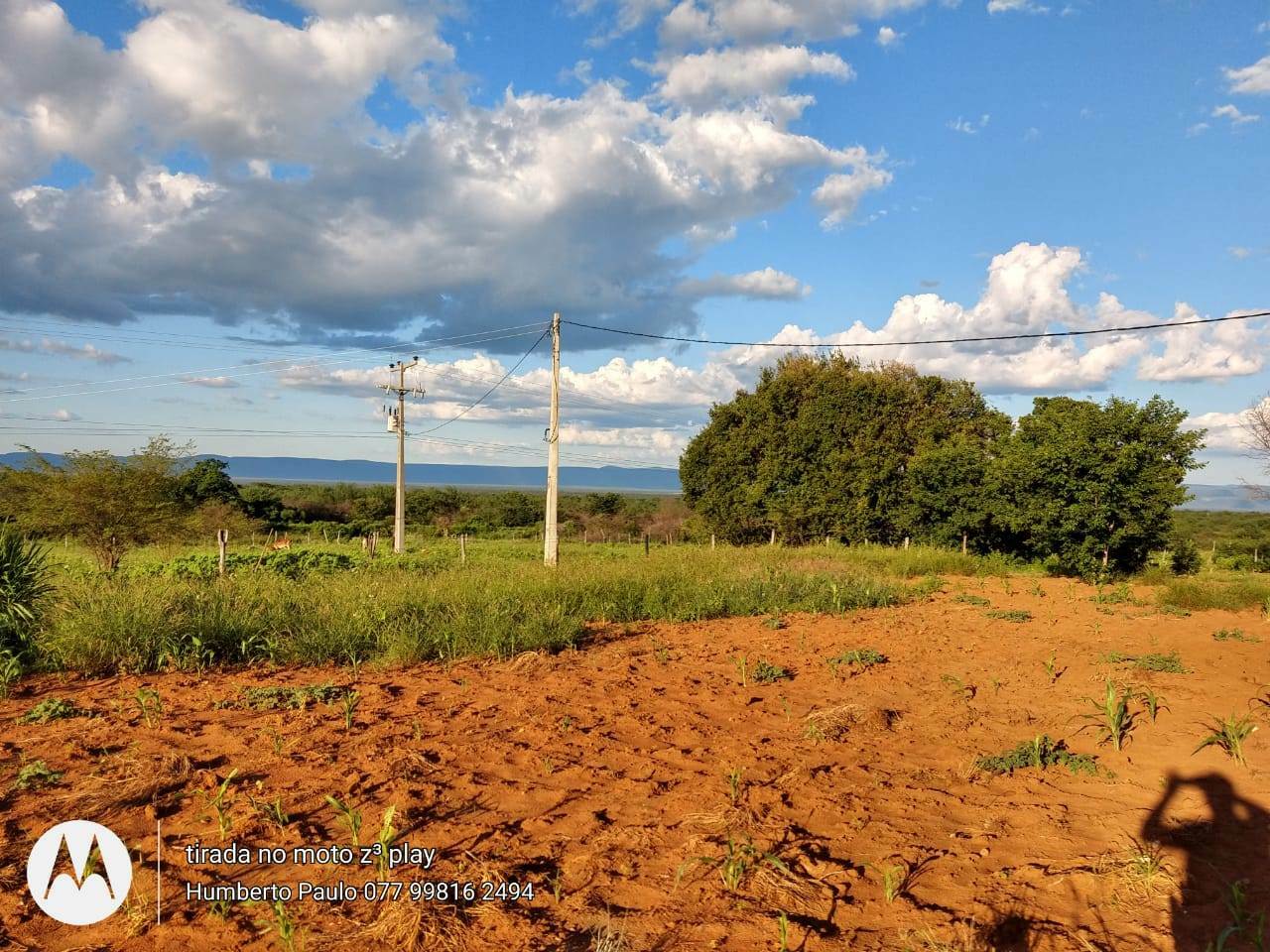 Fazenda de 580 ha em Oliveira dos Brejinhos, BA