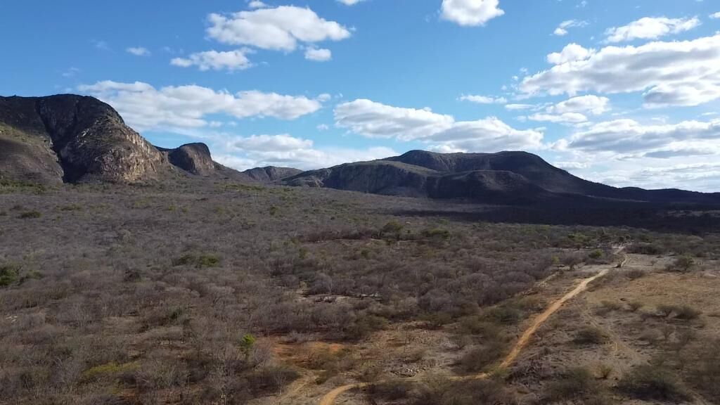 Fazenda de 580 ha em Oliveira dos Brejinhos, BA