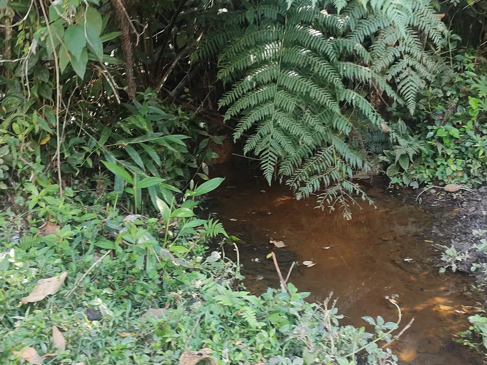 Chácara de 2 ha em São José dos Campos, SP