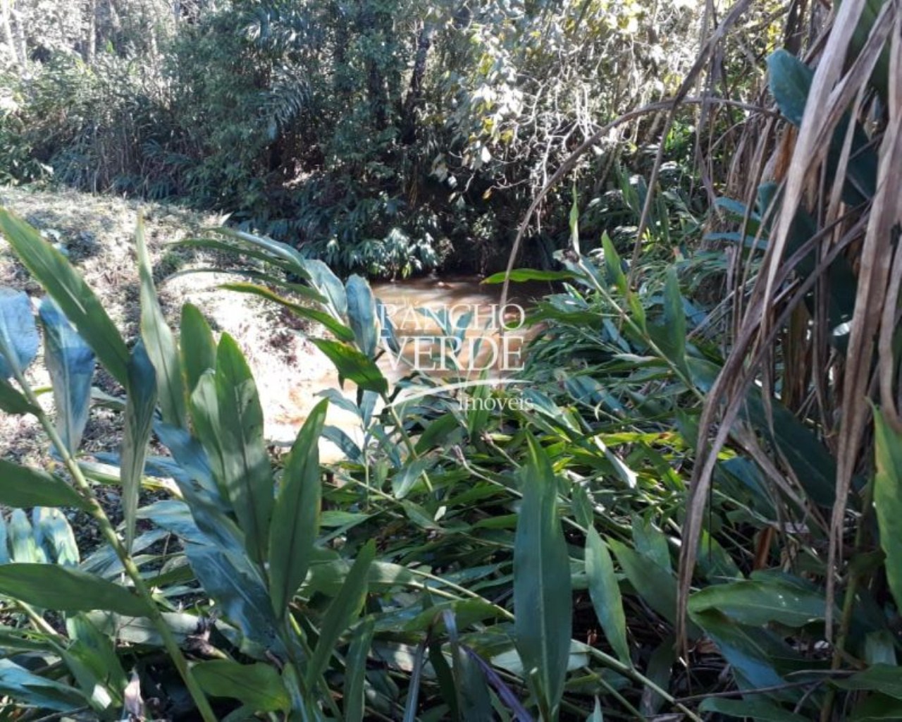 Sítio de 44 ha em São José dos Campos, SP