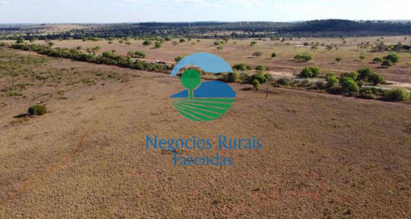 Fazenda de 2.739 ha em Guaraí, TO