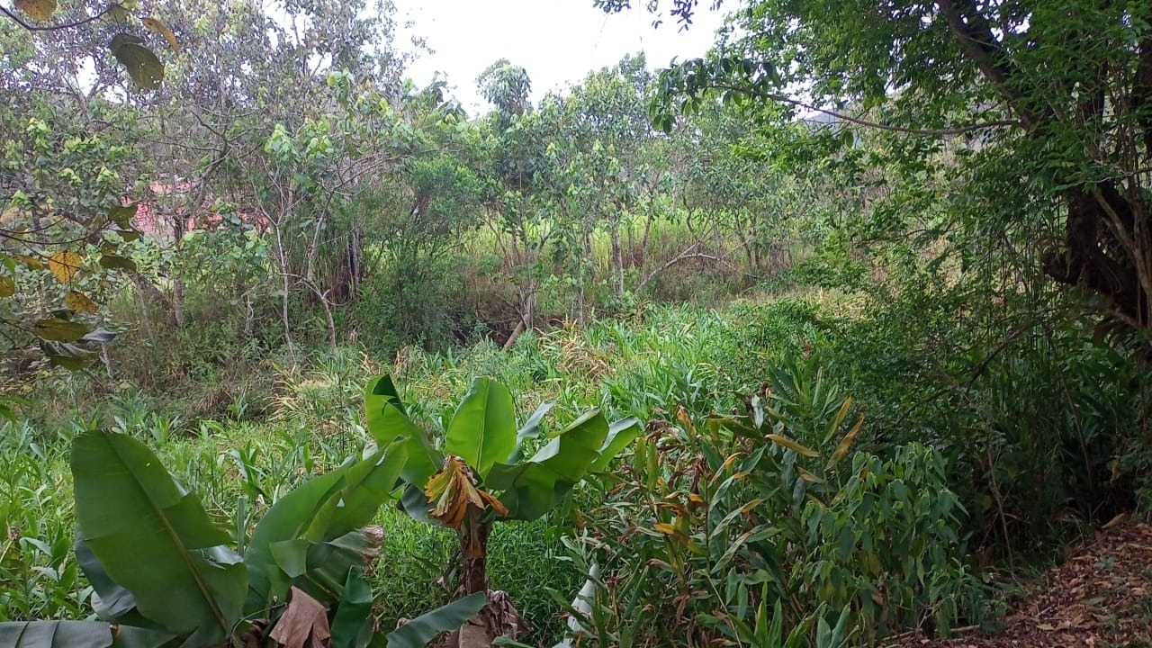 Chácara de 3.300 m² em Monteiro Lobato, SP