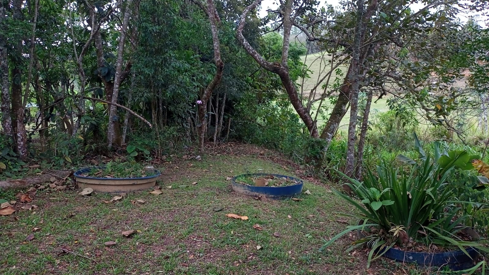 Chácara de 3.300 m² em Monteiro Lobato, SP