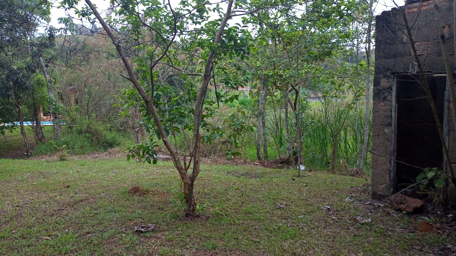 Chácara de 3.300 m² em Monteiro Lobato, SP