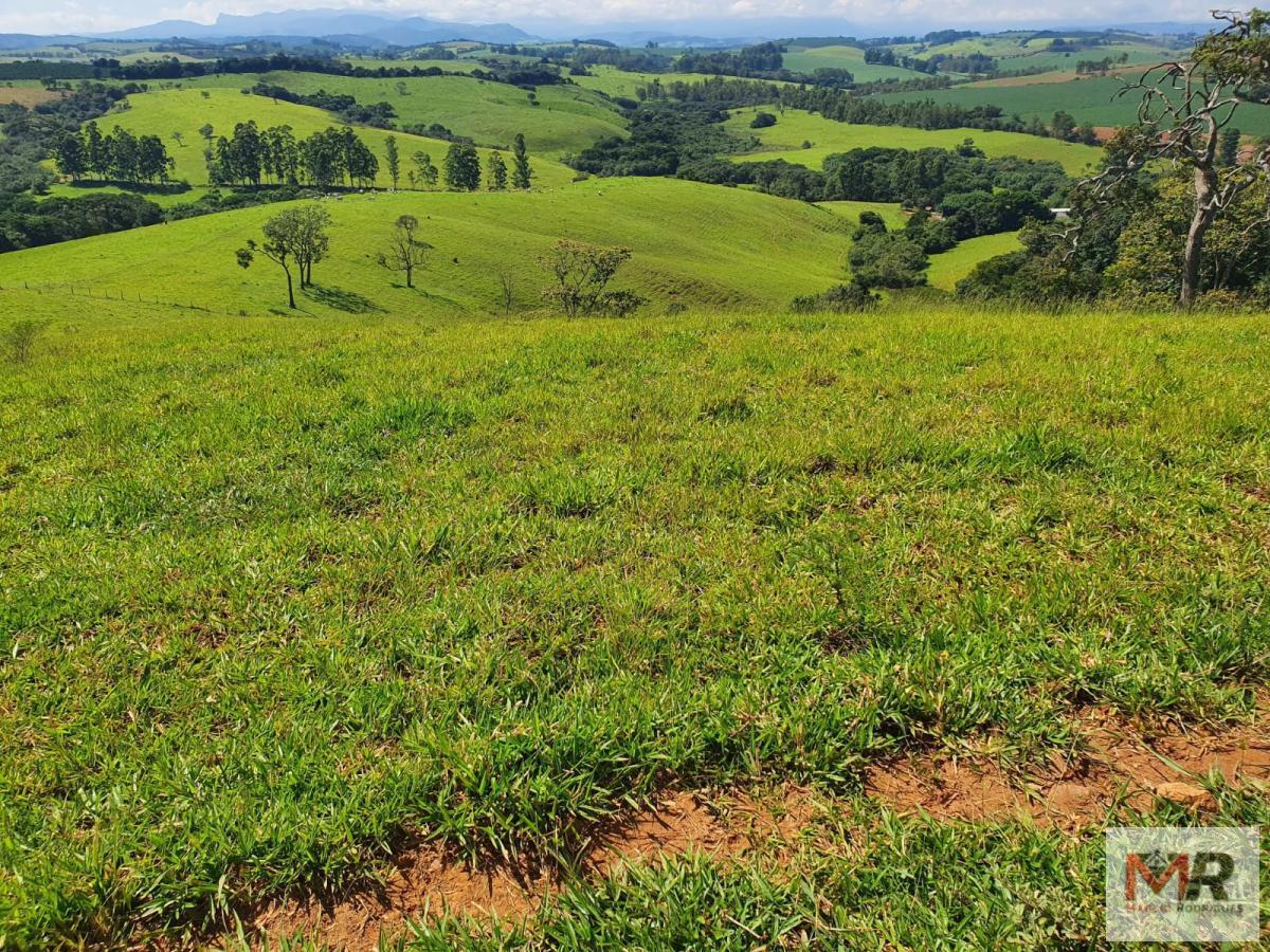 Fazenda de 242 ha em Cruzília, MG