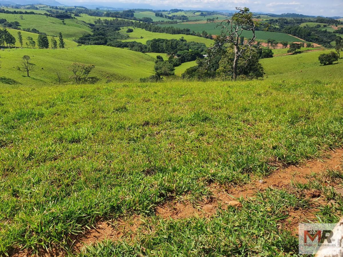 Fazenda de 242 ha em Cruzília, MG