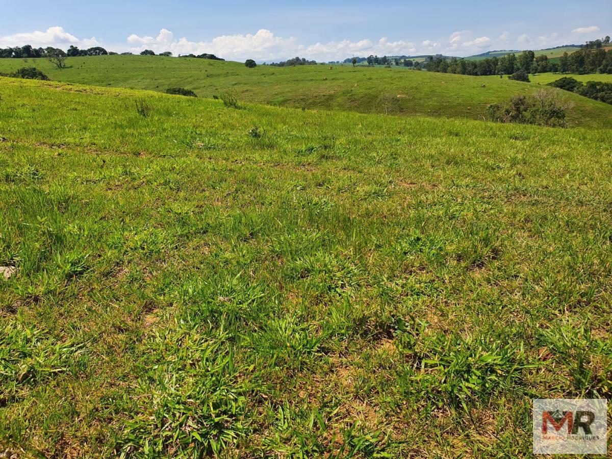 Fazenda de 242 ha em Cruzília, MG