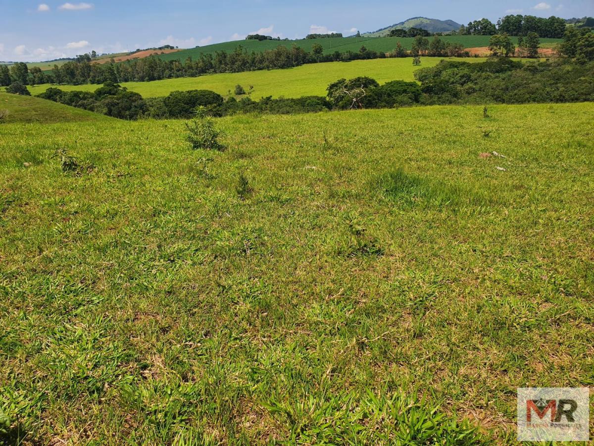 Fazenda de 242 ha em Cruzília, MG