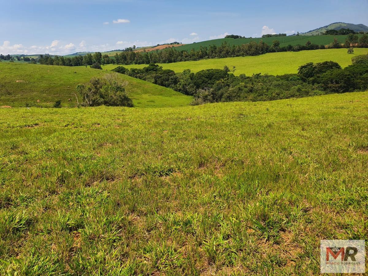 Fazenda de 242 ha em Cruzília, MG