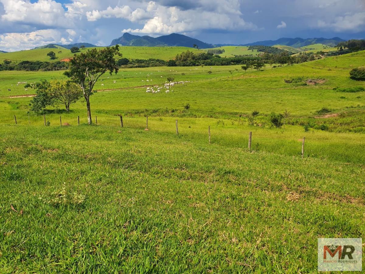 Fazenda de 242 ha em Cruzília, MG