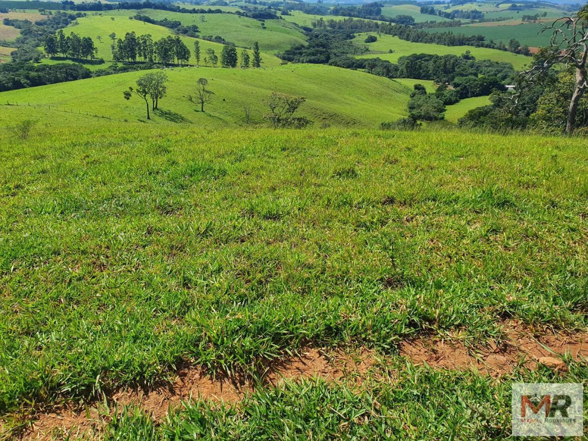 Fazenda de 242 ha em Cruzília, MG