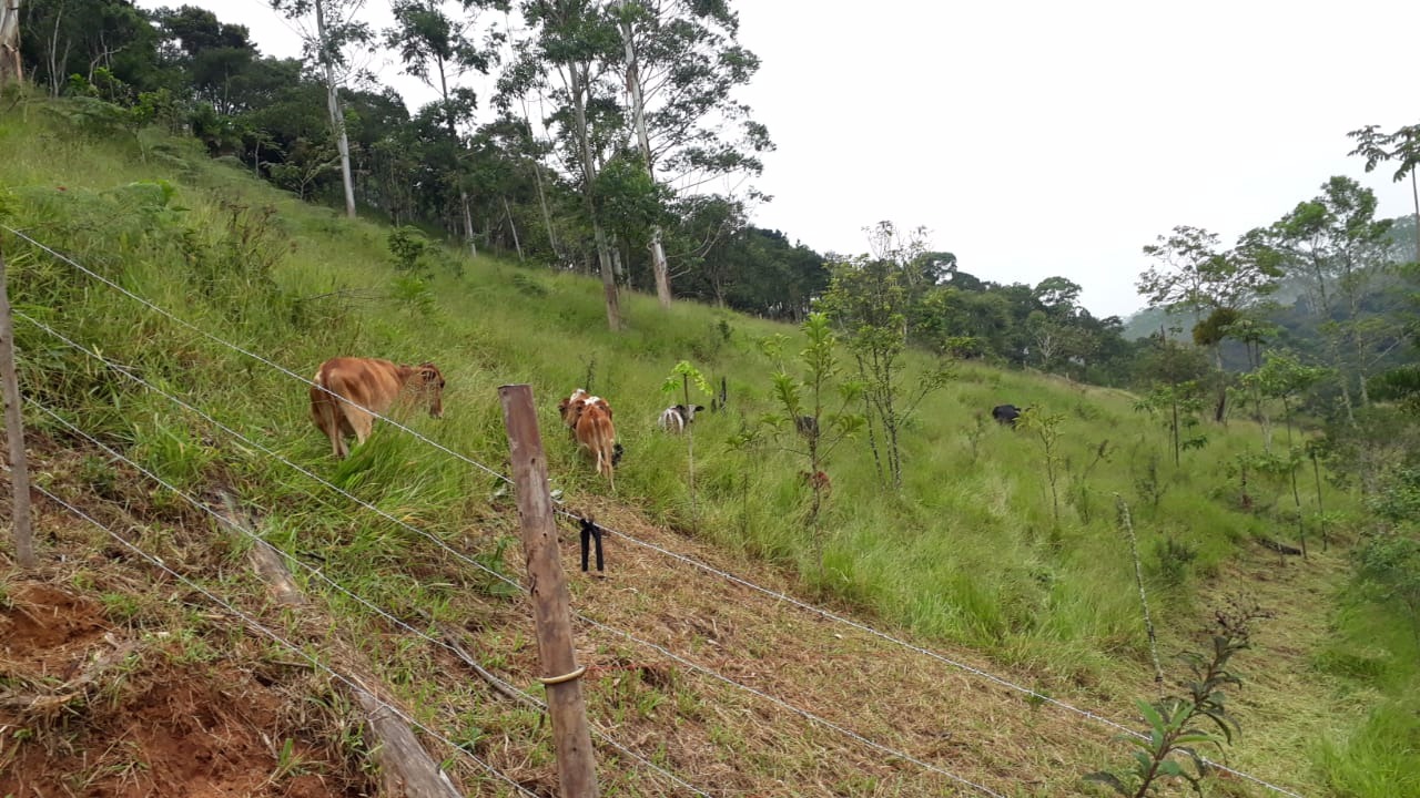 Chácara de 1 ha em Natividade da Serra, SP