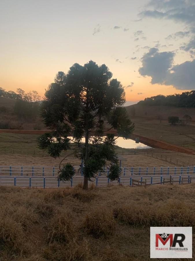 Sítio de 30 ha em Santa Rita do Sapucaí, MG