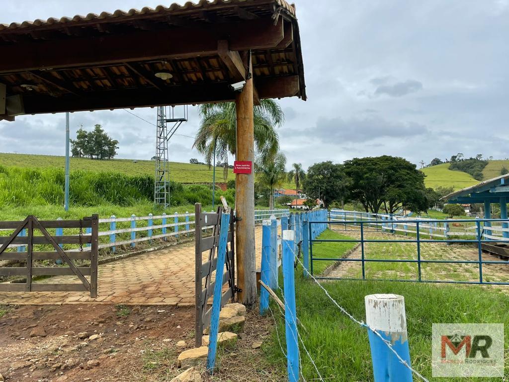 Sítio de 30 ha em Santa Rita do Sapucaí, MG