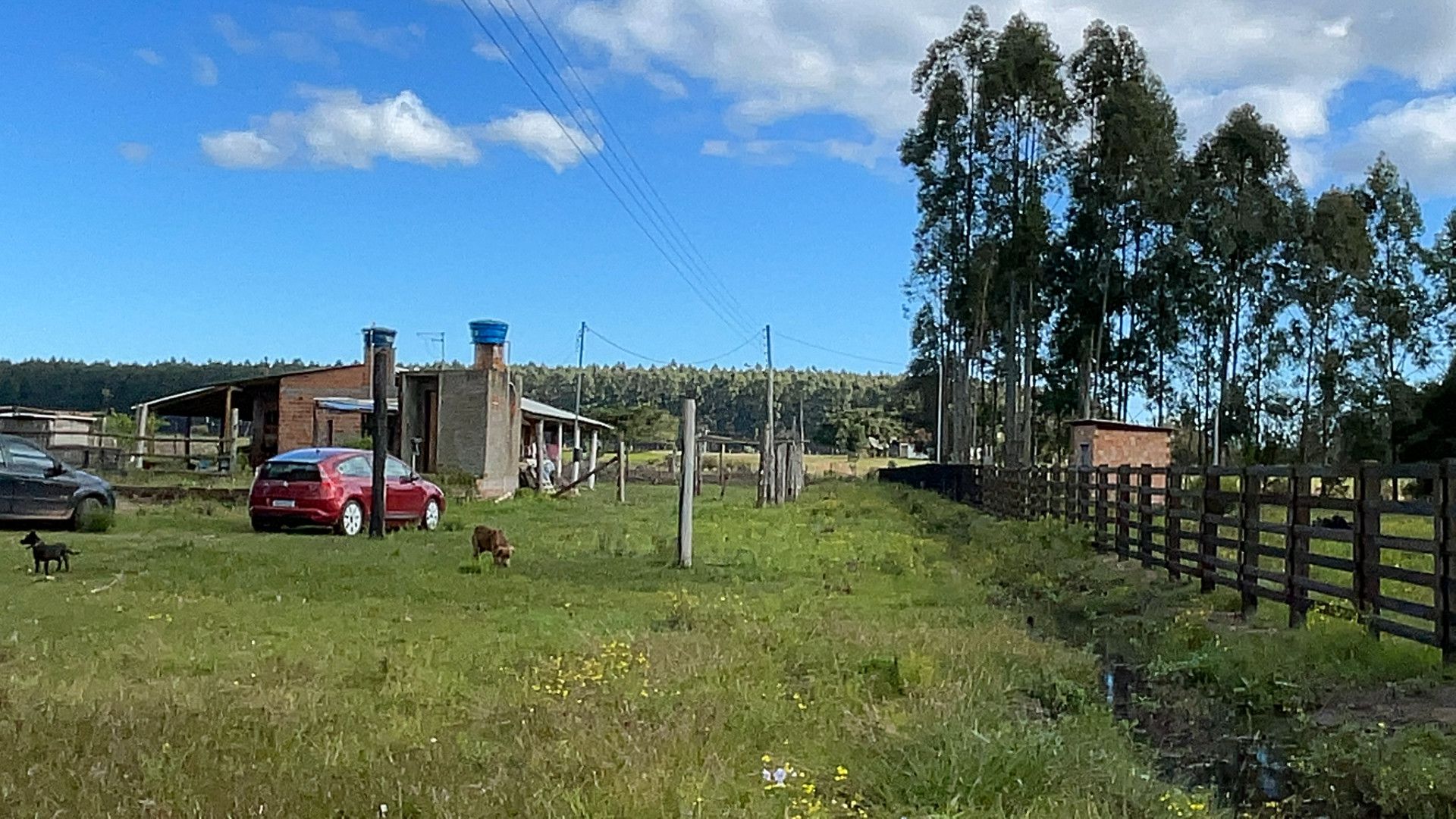 Terreno de 5.000 m² em Santo Antônio da Patrulha, RS
