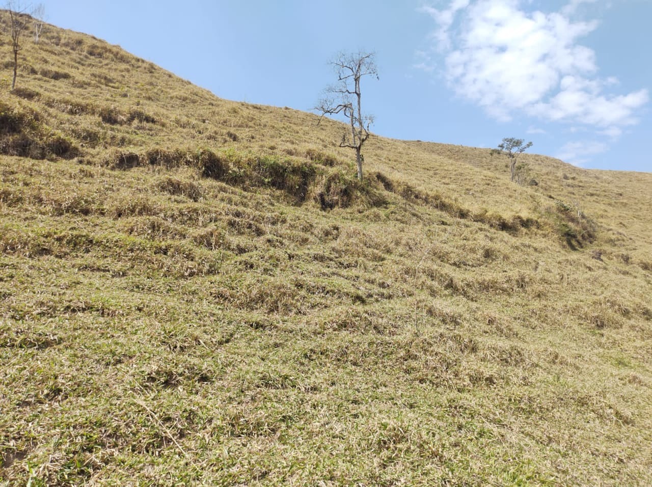 Fazenda de 39 ha em São José dos Campos, SP