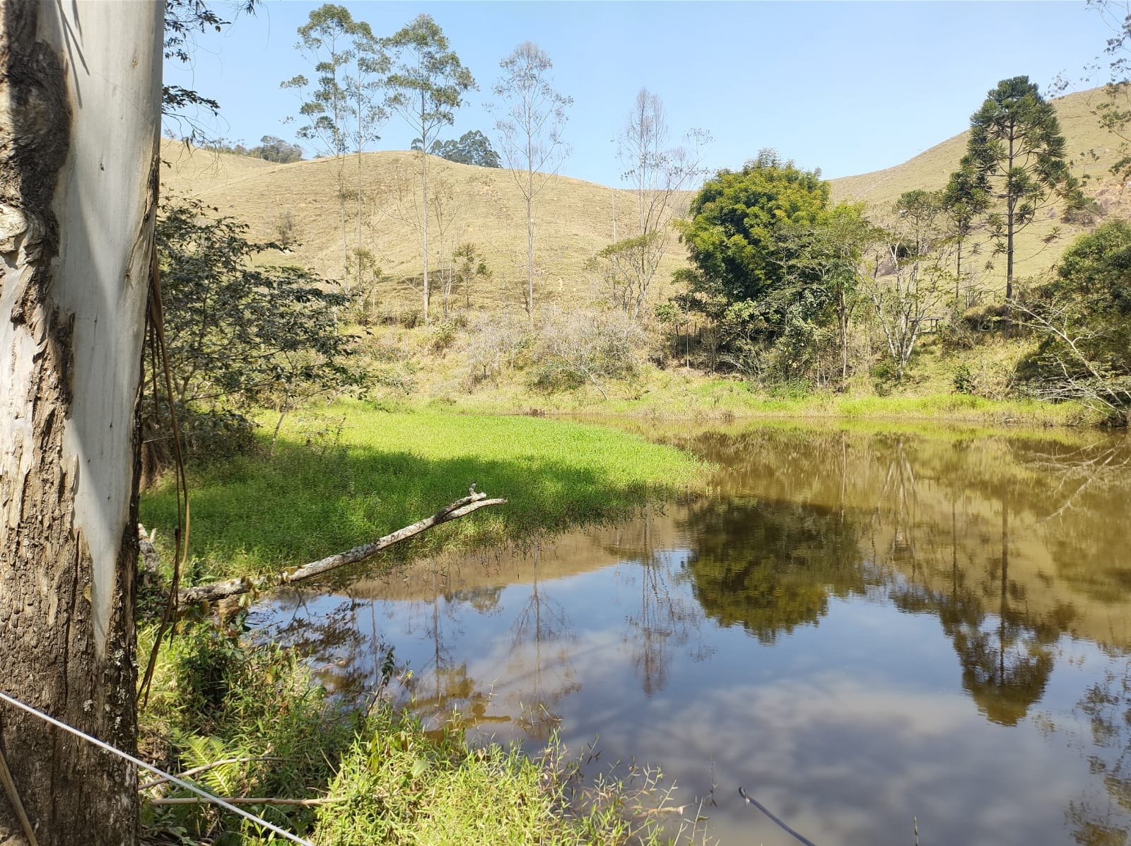 Fazenda de 39 ha em São José dos Campos, SP