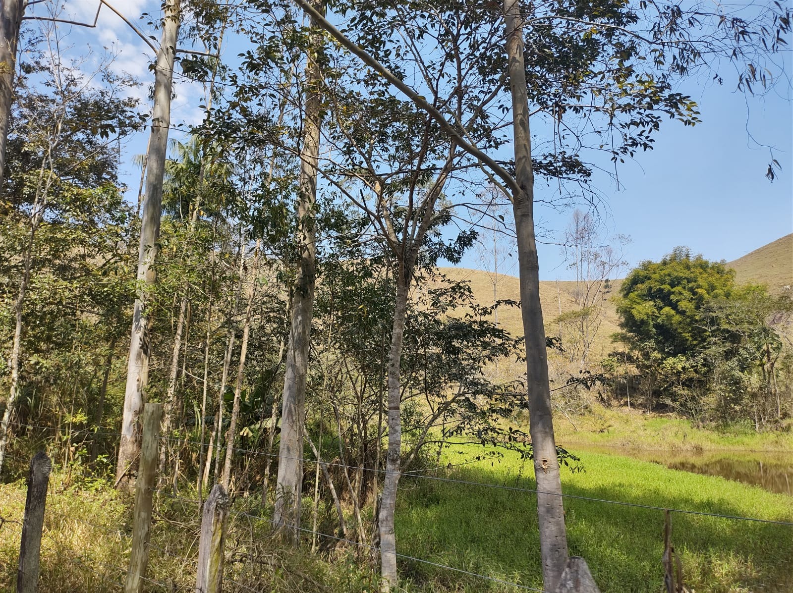 Fazenda de 39 ha em São José dos Campos, SP