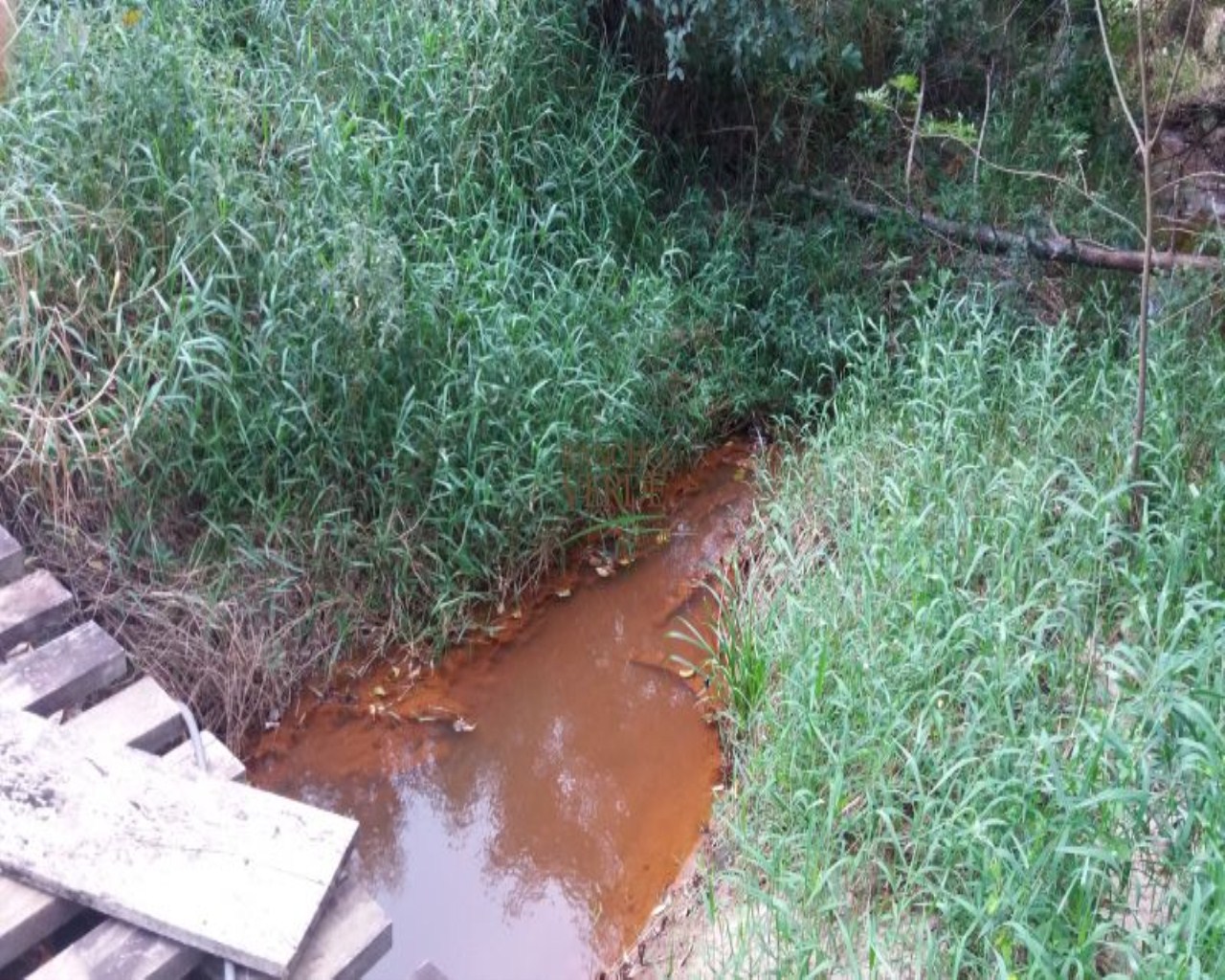 Chácara de 1 ha em São José dos Campos, SP