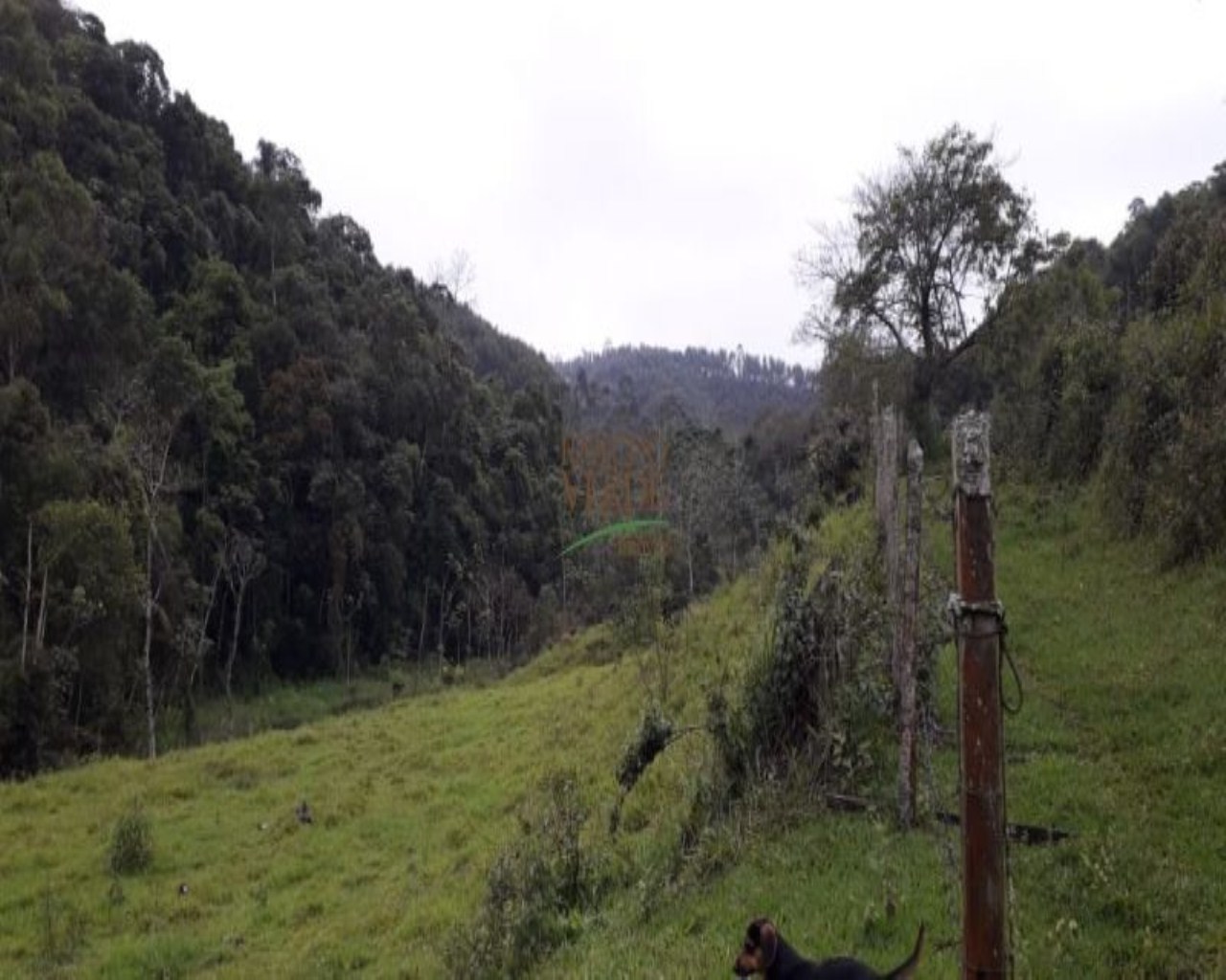 Sítio de 7 ha em São José dos Campos, SP