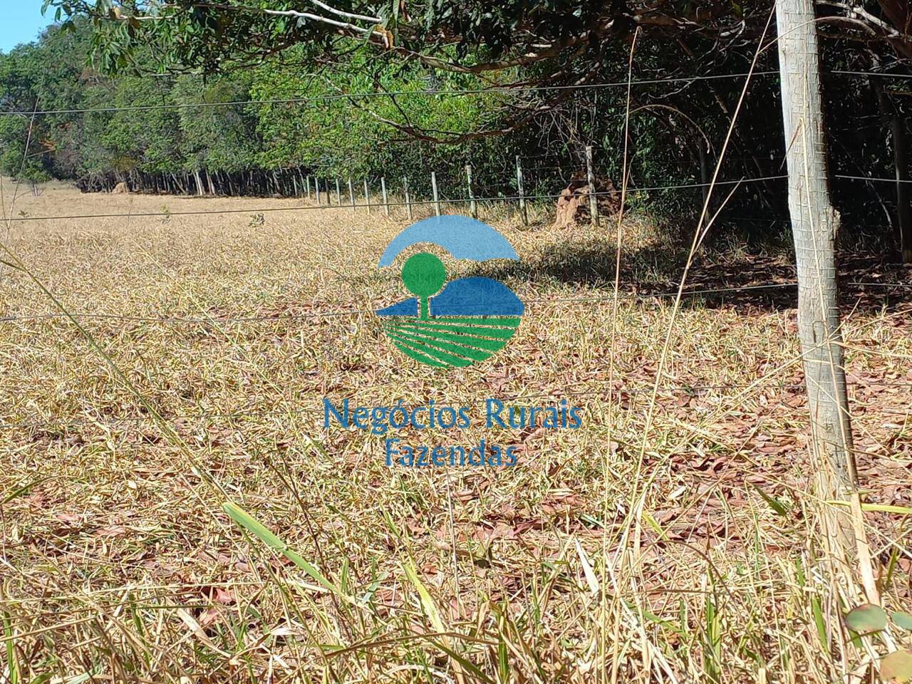 Fazenda de 208 ha em Anápolis, GO