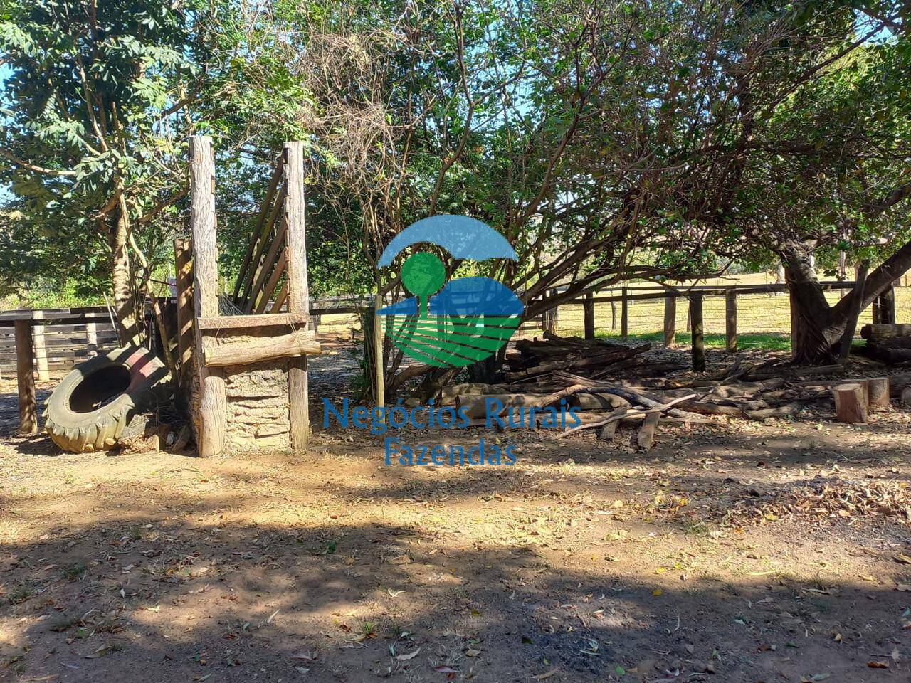 Fazenda de 208 ha em Anápolis, GO