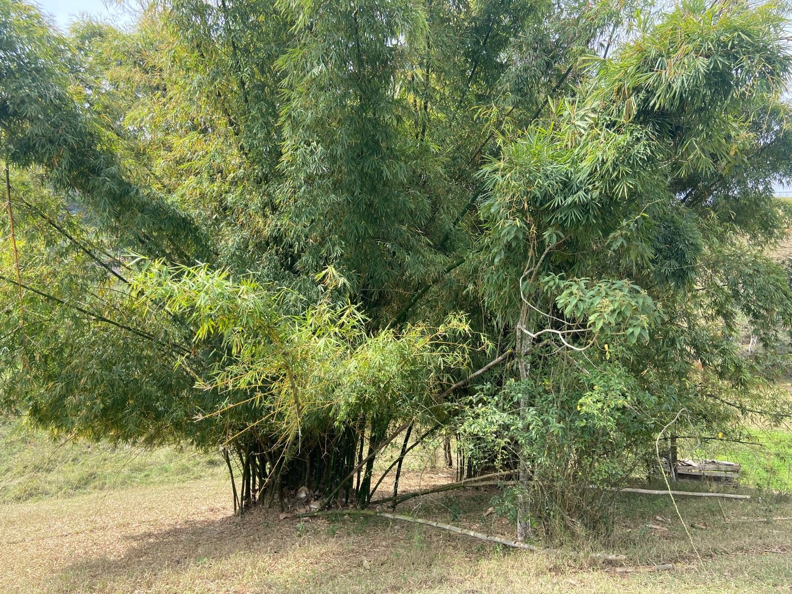 Chácara de 2 ha em São José dos Campos, SP