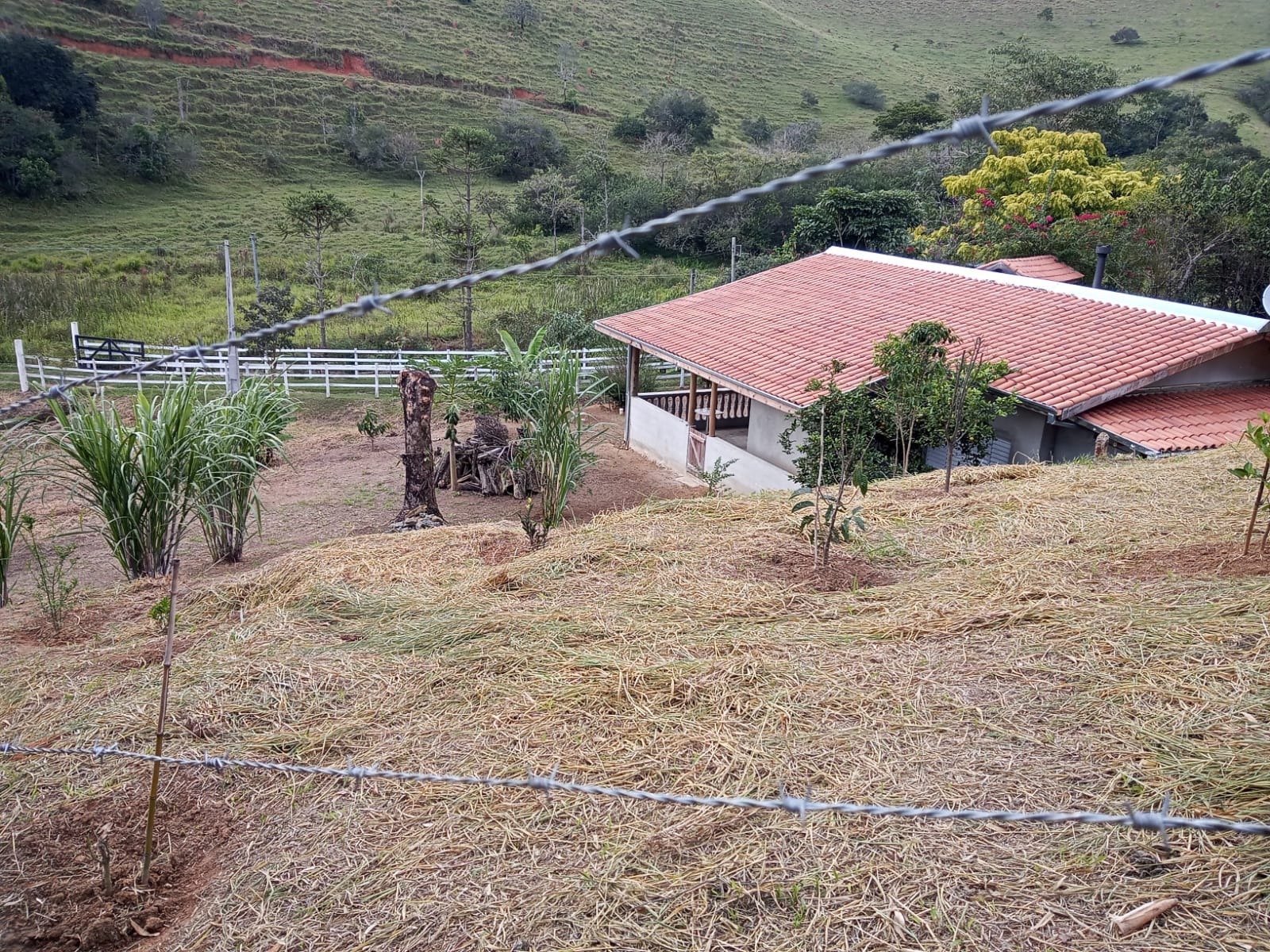 Chácara de 2 ha em São José dos Campos, SP