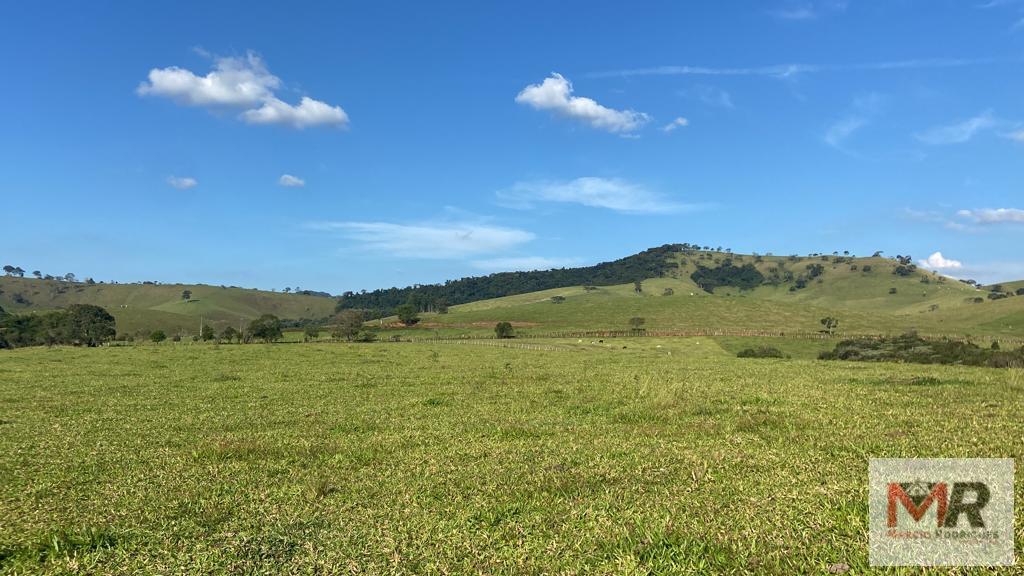 Terreno de 10 ha em Cambuí, MG