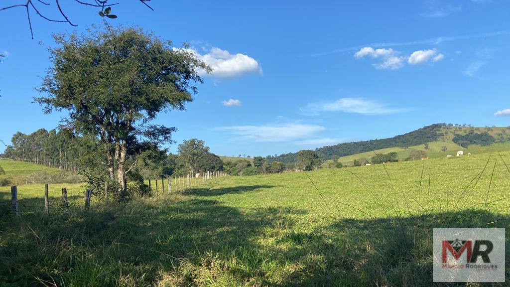 Terreno de 10 ha em Cambuí, MG