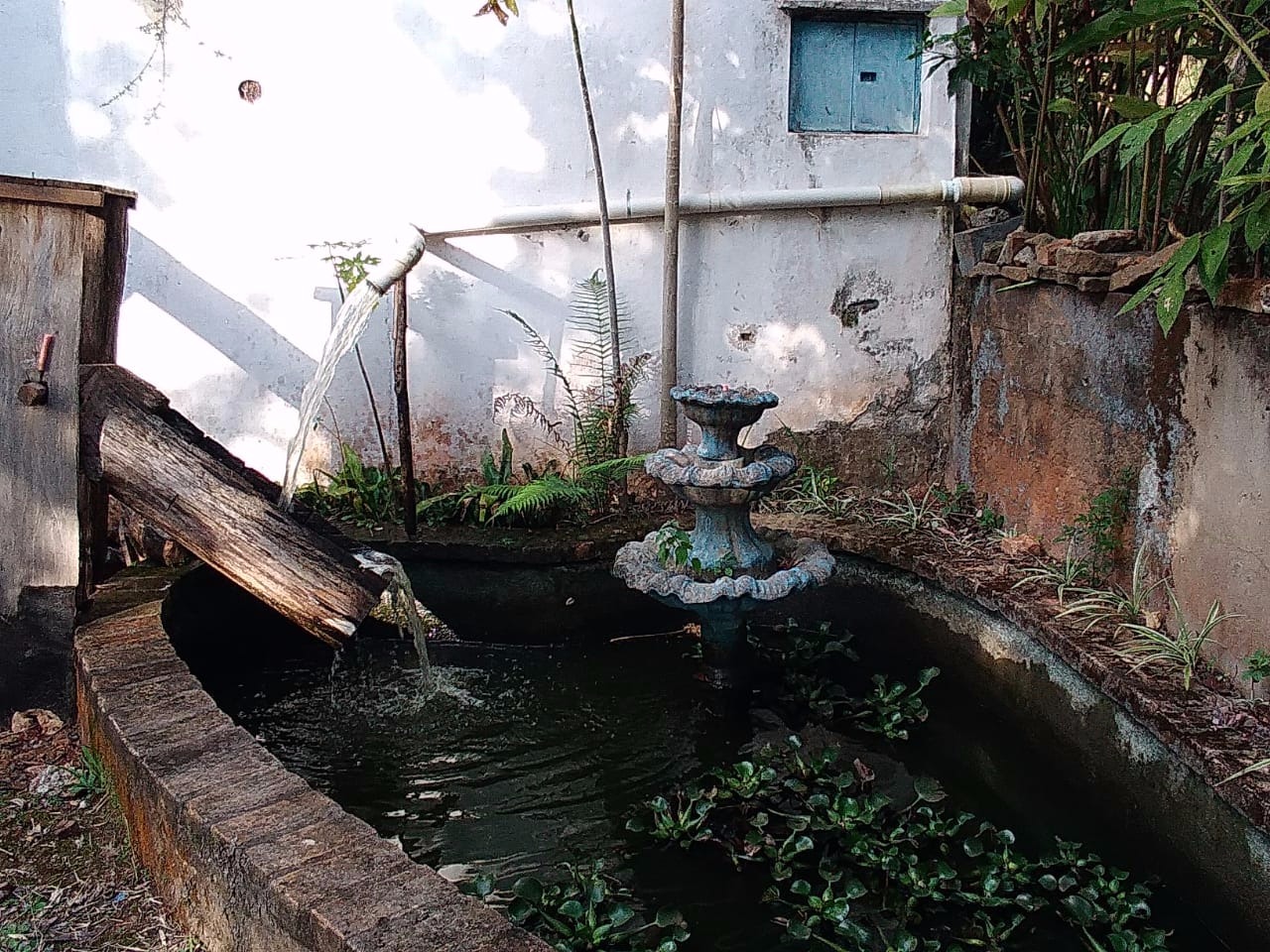 Sítio de 4 ha em Taubaté, SP