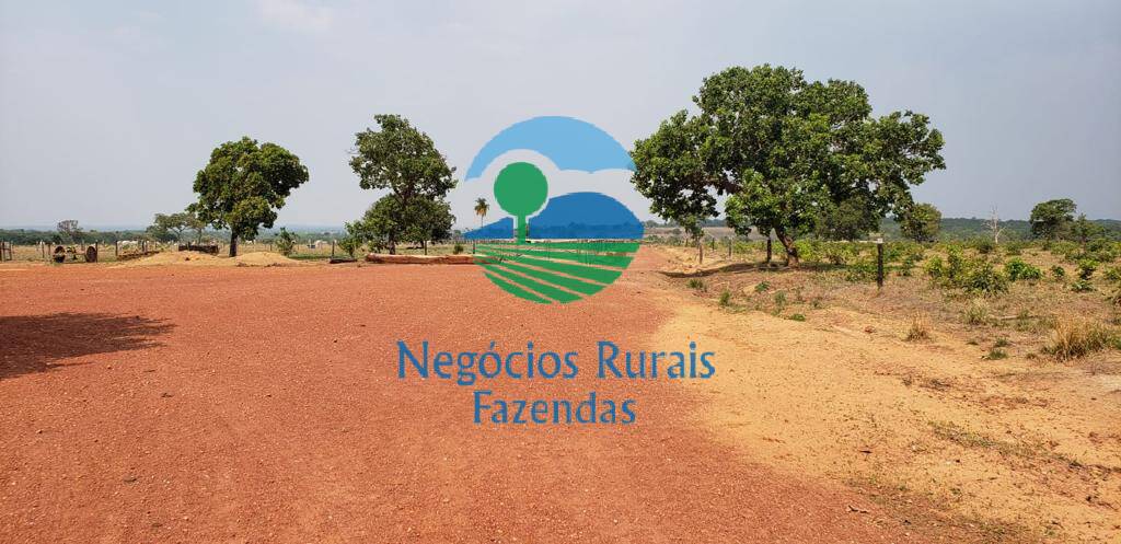 Fazenda de 961 ha em Paraíso do Tocantins, TO