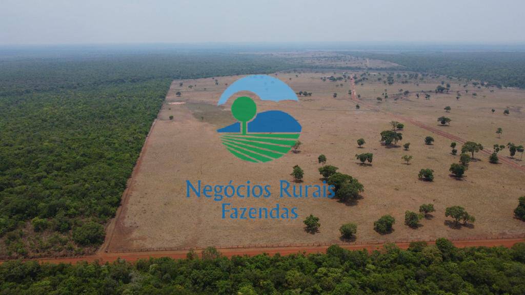 Fazenda de 961 ha em Paraíso do Tocantins, TO