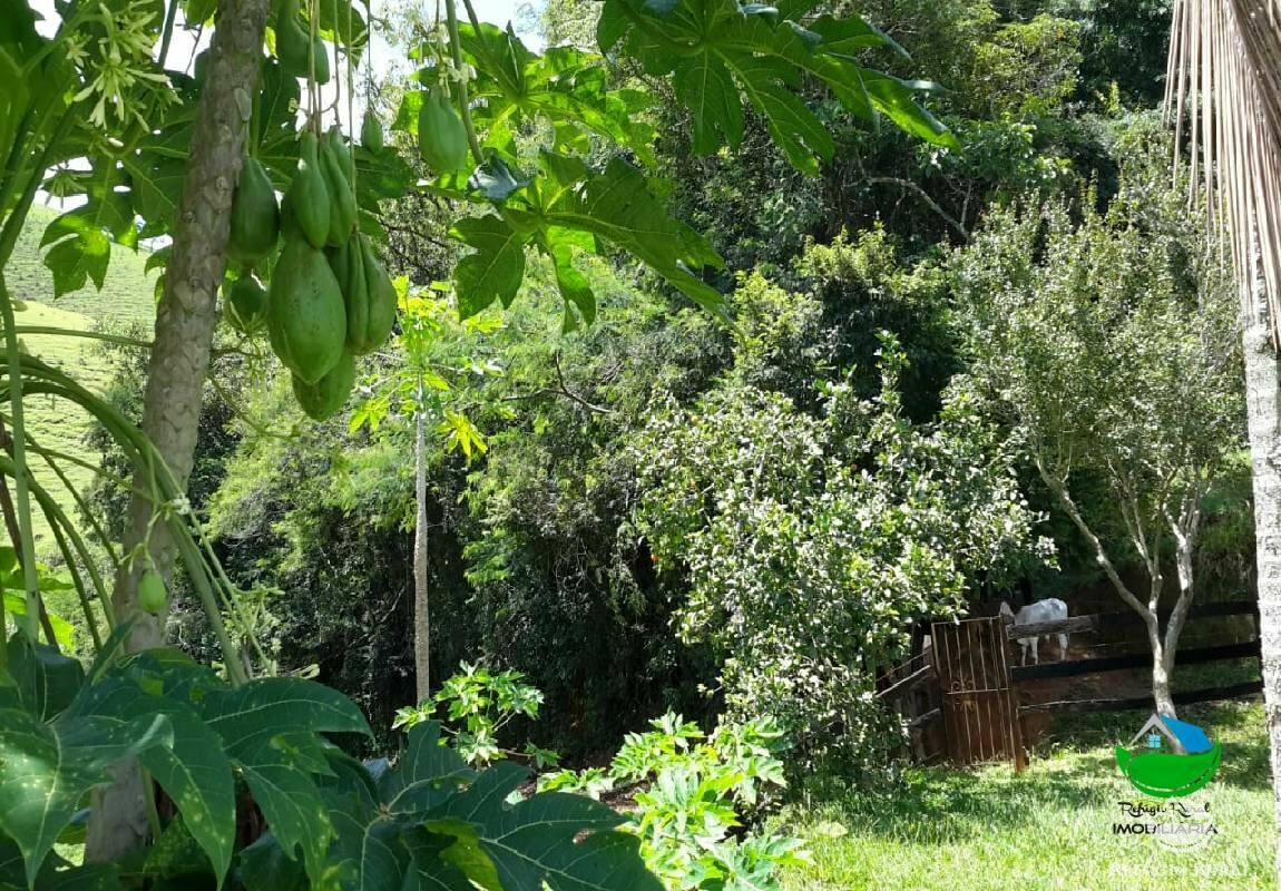 Fazenda de 96 ha em São José dos Campos, SP