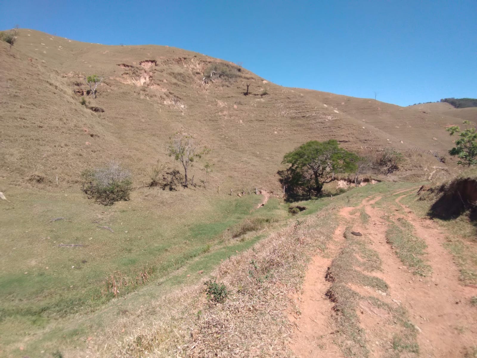 Fazenda de 157 ha em Cunha, SP