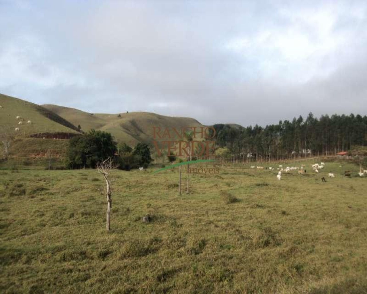 Fazenda de 47 ha em Paraibuna, SP