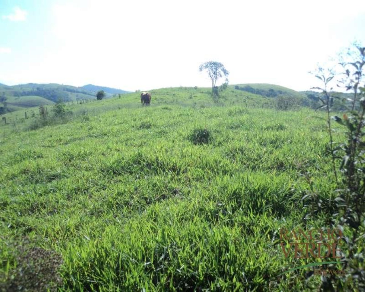 Fazenda de 65 ha em Taubaté, SP