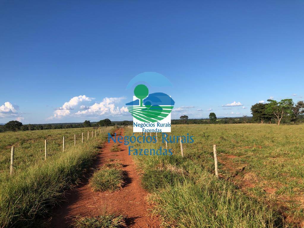 Fazenda de 726 ha em Mara Rosa, GO