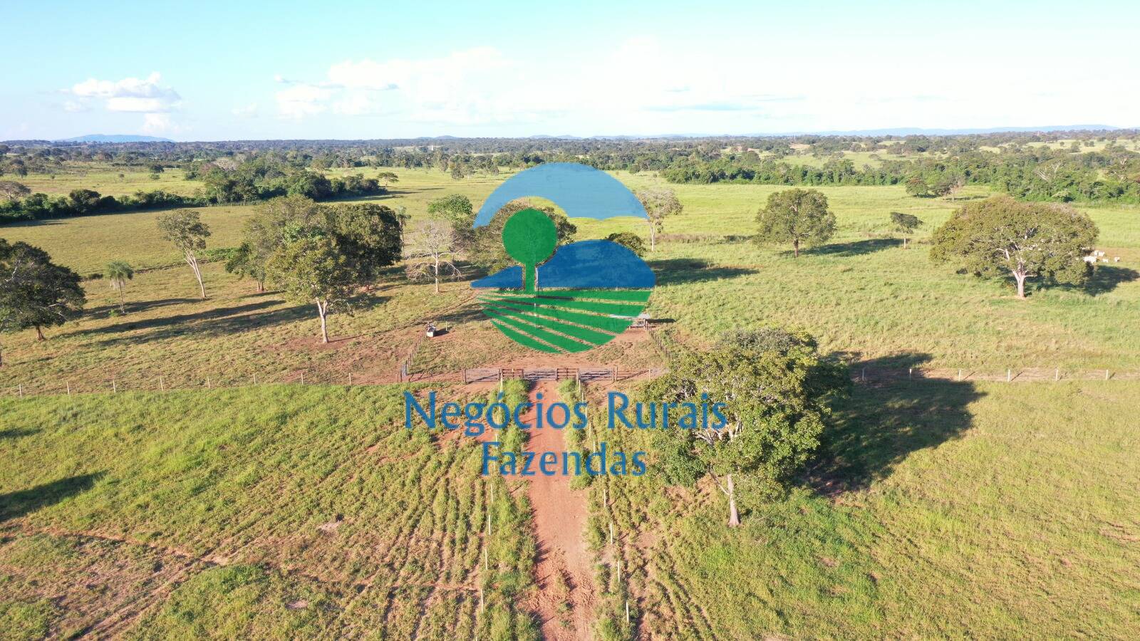 Fazenda de 726 ha em Mara Rosa, GO