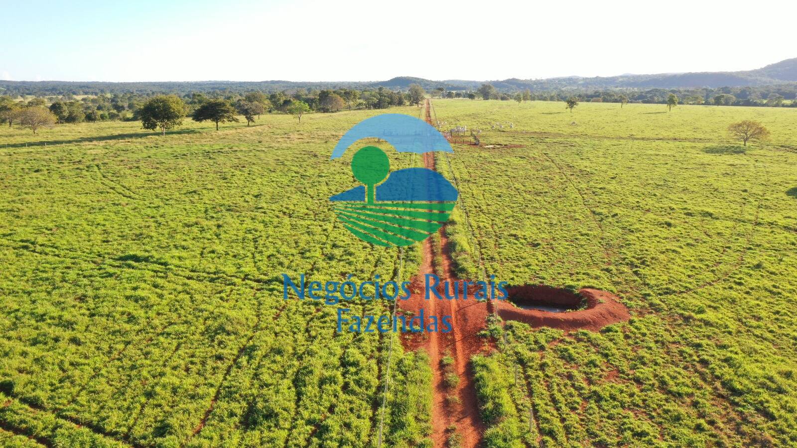 Fazenda de 726 ha em Mara Rosa, GO